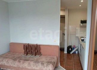 Продажа квартиры студии, 18 м2, Пермь, улица Богдана Хмельницкого, 58, Кировский район