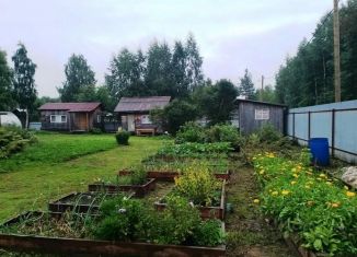 Продам дом, 30 м2, Архангельская область, СНТ Ильма, 248А