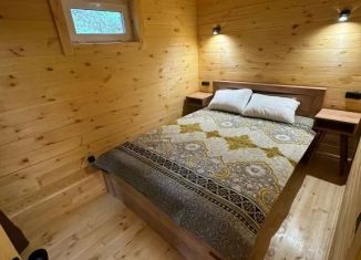 Сдаю в аренду дом, 30 м2, Алтайский край