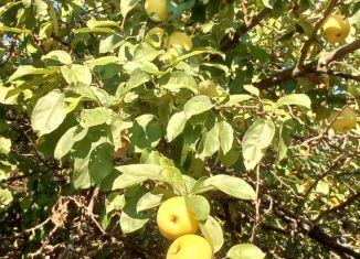 Продам земельный участок, 6 сот., Марий Эл