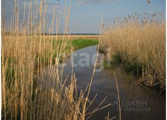 Участок на продажу, 400 сот., деревня Сухара