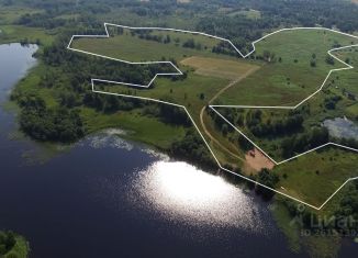 Продается участок, 3260 сот., Новгородская область