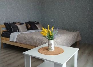 Сдается в аренду дом, 55 м2, Мышкин, Солнечная улица, 89