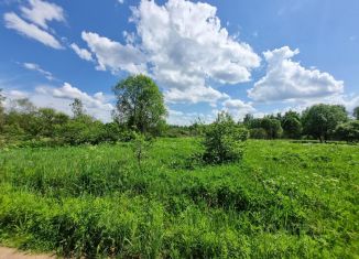 Участок на продажу, 15 сот., Псковская область