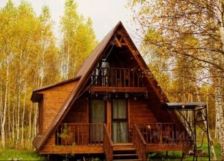 Сдаю в аренду дом, 45 м2, ДНП Алино, ДНП Алино, 10