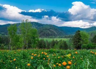 Продаю участок, 3000 сот., Республика Алтай, улица Калинина