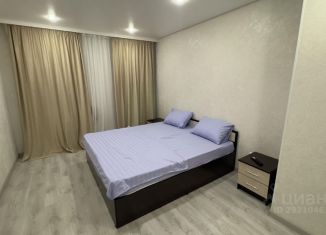 Сдача в аренду дома, 50 м2, Ставропольский край, улица Пирогова, 33