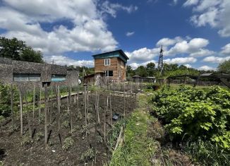 Продается дом, 42.6 м2, Амурская область, СТ Перспективное, 16