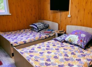 Сдается в аренду дом, 19 м2, Алтайский край