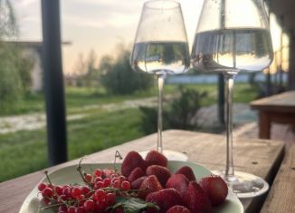 Сдаю в аренду дом, 45 м2, село Городковичи, Озёрная улица, 23
