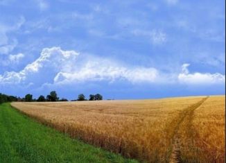 Земельный участок на продажу, 265 сот., село Подстёпки, Советская улица, 1А