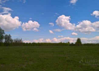 Продажа участка, 15 сот., село Еремейцево, 78К-0004