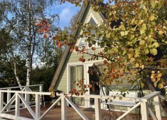 Сдача в аренду дома, 55 м2, Новгородская область, деревня Моисеевичи, 15
