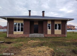 Продам дом, 105 м2, село Дружино