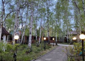 Продам дачу, 226 м2, Иркутская область, Зелёная улица, 8