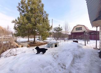 Продаю дом, 59 м2, Саратовская область