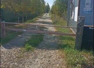 Продаю участок, 16 сот., СНТ Сосновый Бор, СНТ Сосновый Бор, 677