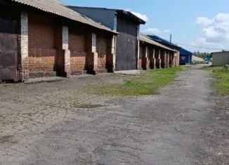 Земельный участок на продажу, 81.8 сот., Алтайский край