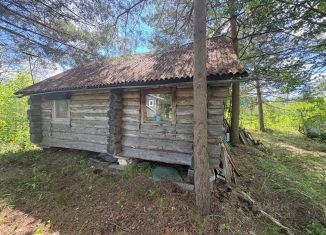 Продажа дачи, 12 м2, Нижегородская область, СНП Раздолье, 593
