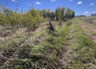 Участок на продажу, 13 сот., Алтайский край