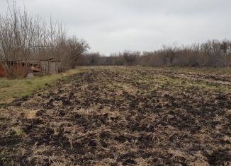 Продам земельный участок, 50 сот., село Перлёвка