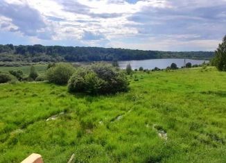 Продам участок, 98.5 сот., деревня Усторонье