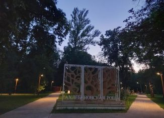 Продам дом, 260 м2, Тамбовская область, 3-й Парковый проезд, 4