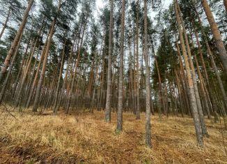 Участок на продажу, 14.57 сот., Тамбов, Ленинский район