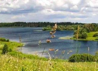 Продам земельный участок, 161 сот., деревня Ельчино