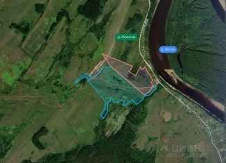 Участок на продажу, 5000 сот., Кировская область, деревня Мокины, 4