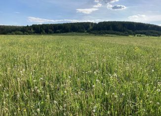 Продаю земельный участок, 25 сот., Пермский край, Школьная улица