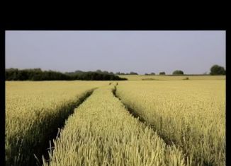 Участок на продажу, 7640 сот., сельское поселение Страховское