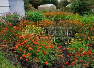 Продажа участка, 15 сот., Кемеровская область, СНТ Орбита, 1