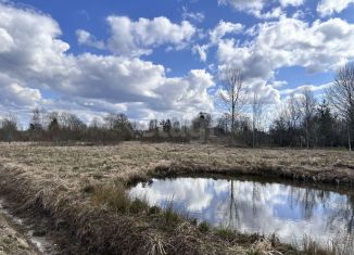 Продаю земельный участок, 13 сот., село Посадников Остров, село Посадников Остров, 42