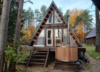 Сдам в аренду дом, 53 м2, Карелия, Совхозная улица, 5