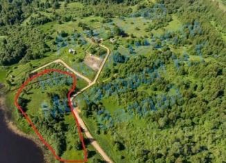 Участок на продажу, 150 сот., деревня Ельчино