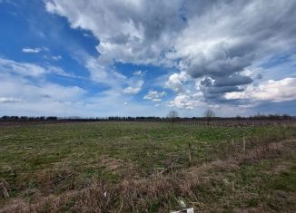 Продам участок, 290 сот., Ленинградская область