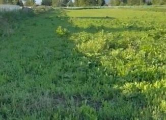 Продажа земельного участка, 800 сот., село Мариинский