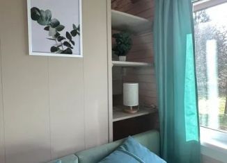 Сдача в аренду дома, 35 м2, поселок Харвиа