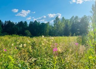 Продажа земельного участка, 17 сот., Новгородская область