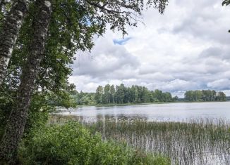 Участок на продажу, 770 сот., Новгородская область
