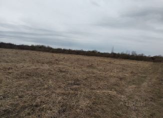 Продам земельный участок, 14 сот., деревня Башкова