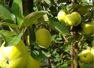 Продам участок, 24 сот., поселок Коммунар, улица 8 Марта, 16