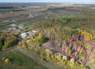 Продажа участка, 5 сот., село Борки