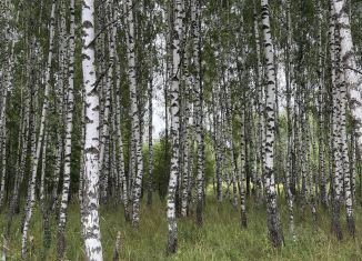Продажа земельного участка, 11.56 сот., Московская область