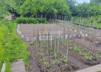 Продаю дачу, 47.8 м2, Хабаровский край, СНТ Пионер-3, 33