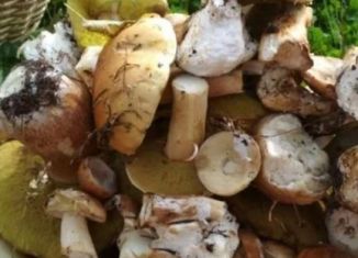 Земельный участок на продажу, 25 сот., село Варламово