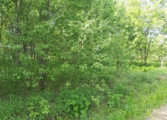 Продам земельный участок, 16 сот., СТ Искож-6