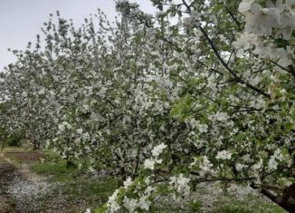 Продается земельный участок, 10 сот., садовые участки Молодёжное
