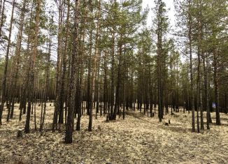 Участок на продажу, 18.5 сот., поселок Хужир, Лесная улица, 1
